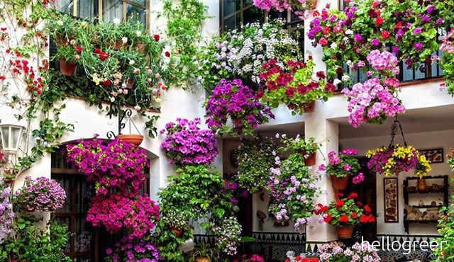 Al via 'Balconi in fiore', si premiano i fiori sulle ...