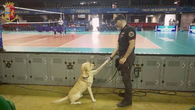 Mondiale di pallavolo a firenze, capillari misure di sicurezza della ... Questura di firenze