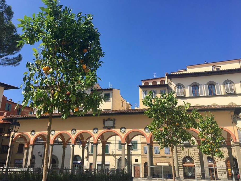 Cosa Fare Oggi A Firenze E Dintorni