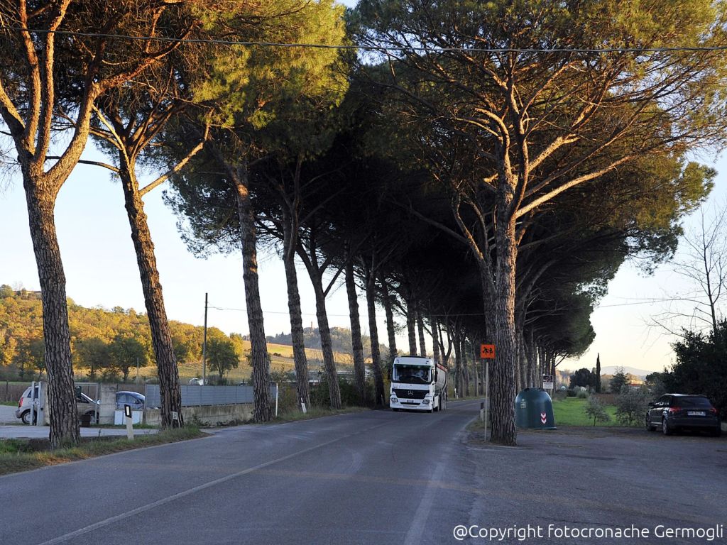 Dalla Regione 400mila euro per manutenzione giunti di una strada della ...