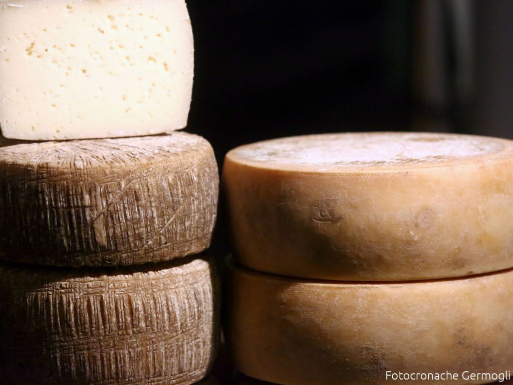 Pecorino, prosciutto, finocchiona e olio i Consorzi insieme nel