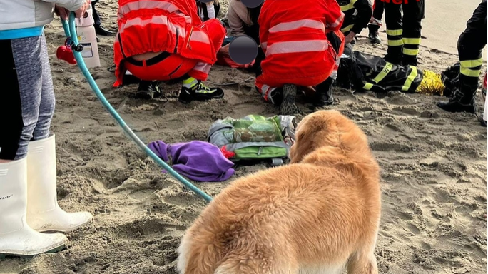 Si tuffa in mare per salvare il suo cane, ma rischia di annegare ...