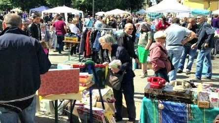 svuota la cantina sesto fiorentino