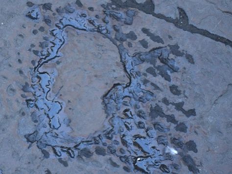 Curiosita Fiorentine Il Misterioso Volto Di Dante