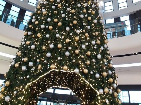 Albero Di Natale Zecchino Doro.Natale Social A I Gigli Tra L Albero Di 16 Metri Foto E Il Trono Di Babbo Natale