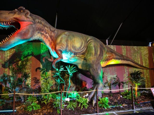Firenze Piomba Nel Giurassico Invasione Di Dinosauri A Novoli