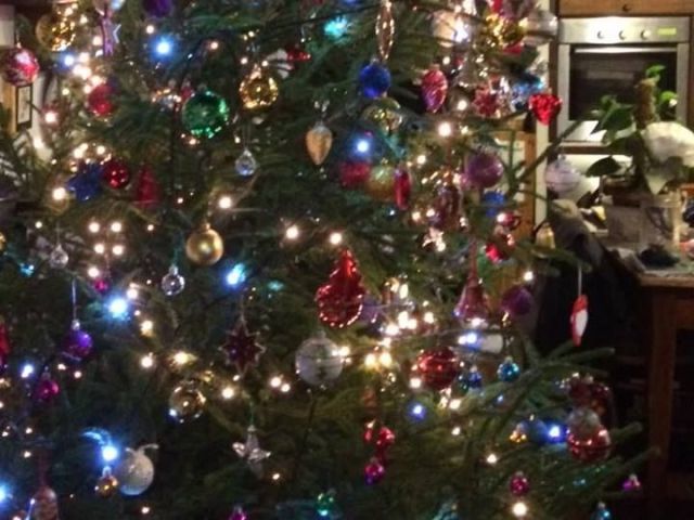 Immagini Natale Html.Tree Sitteraggio Alberi Di Natale La Riconsegna Degli Abeti