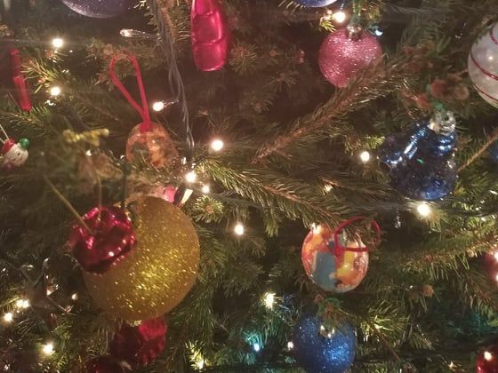 Immagini Degli Alberi Di Natale.Al Via La Raccolta Degli Alberi Di Natale Nei 5 Ecocentri Alia Diventeranno Compost