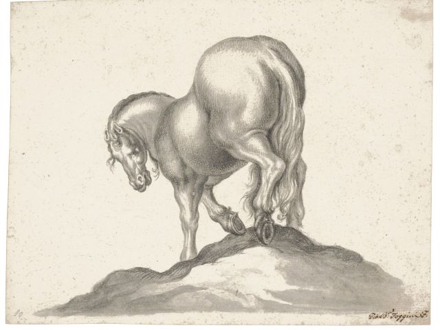 Uffizi Entra Nella Collezione Di Disegni Il Cavallo Appartenuto A Jackie Kennedy