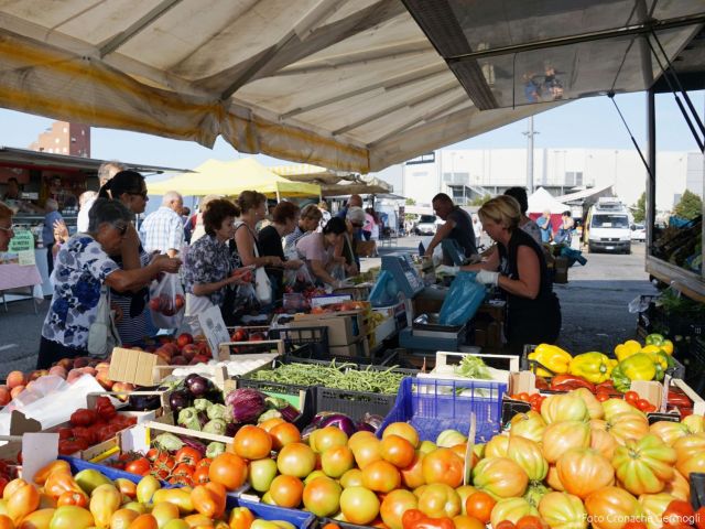 Garantiti Un Banco Alimentare E Un Banco Ortofrutta Per Ogni Mercato Rionale