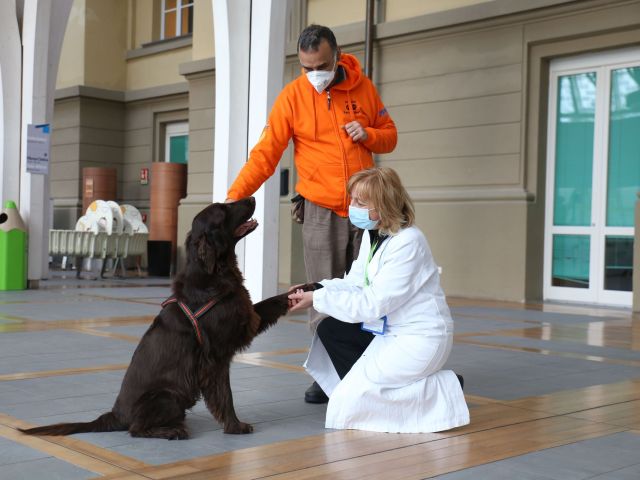 La Pet Therapy Al Meyer Il Saluto Speciale Tra Una Dottoressa E Un Cane Amico Dei Pazienti Foto