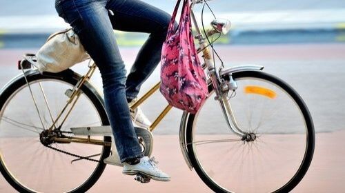 la bicicletta elettrica è un ciclomotore